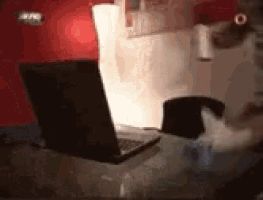 a laptop is sitting on a table with a red wall in the background