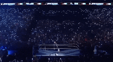 a crowd of people watching a boxing match in a stadium with a banner that says mackenzie