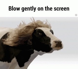 ? GIF - Blow Gently On The Screen Cow Cattle GIFs