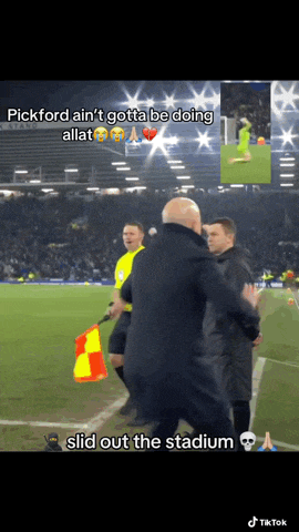 a man standing on a soccer field with the caption pickford ain 't gotta be doing allat slide out the stadium