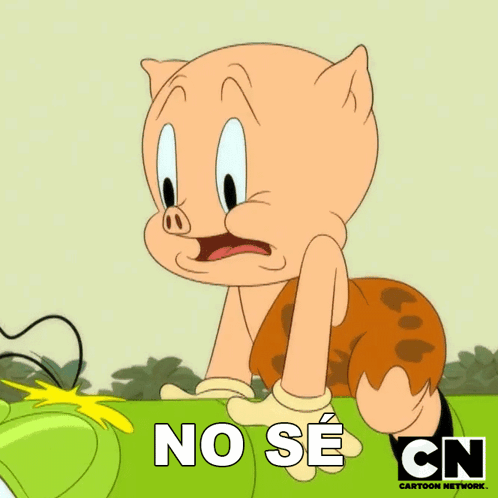 No Sé Porky GIF - No Sé Porky Looney Tunes GIFs