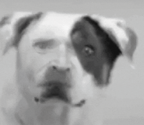 a black and white photo of a dog with a man 's face on its face