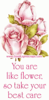 a picture of roses with the words you are like flower so take your best care