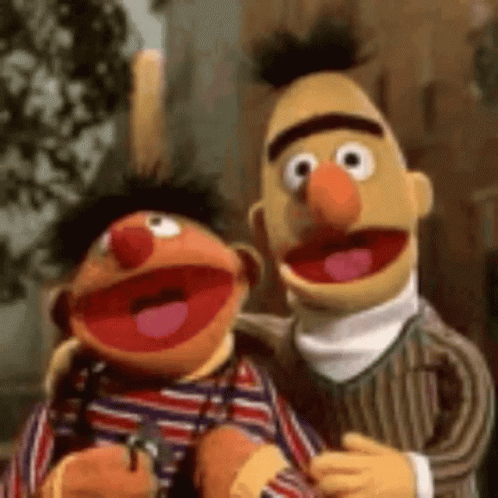 Bert And Ernie Sesame Street GIF