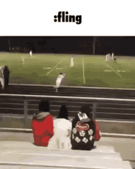 a group of people sitting on bleachers watching a soccer game with the word fling above them .