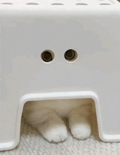 a white cat is hiding under a white step stool with two holes in it .