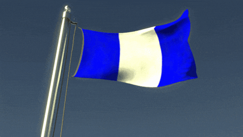a blue and white flag on a pole against a blue sky