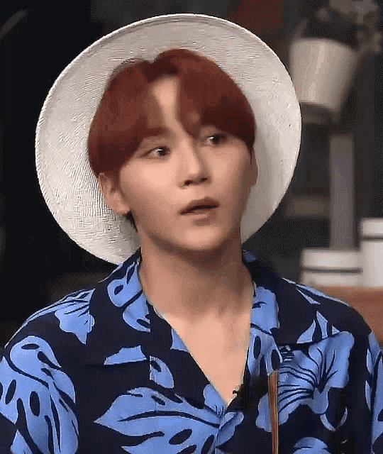 Seventeen Svt GIF