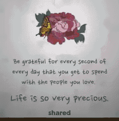a quote that says be grateful for every second of every day