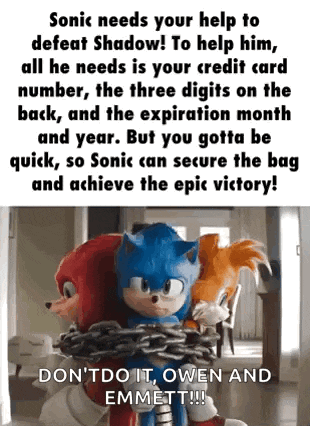 sonic the hedgehog needs your help to defeat shadow ! to help him , all he needs is your credit card number