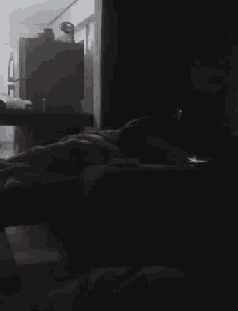 Vanda Doida GIF