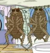two cockroaches are standing in a bathroom next to a toilet .