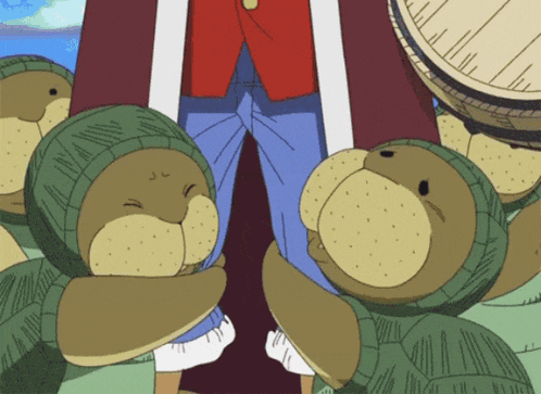 a group of turtles standing around a person 's leg