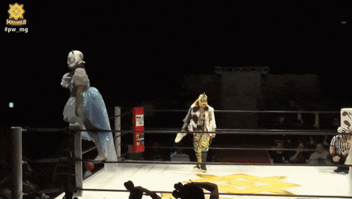 a person in a wrestling ring with the hashtag #pw_mg at the top