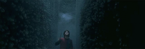 Periculum Harry Potter GIF - Periculum Harry Potter Goblet Of Fire GIFs