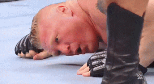Wrestler Knockout GIF - Wrestler Knockout Brock Lesnar GIFs
