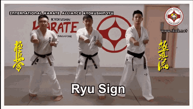 Ryu Sign Sign GIF - Ryu Sign Sign Karate GIFs