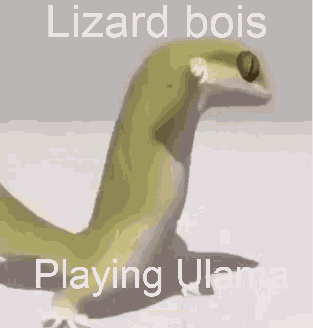 Lizard Boi GIF - Lizard Boi Ulama GIFs