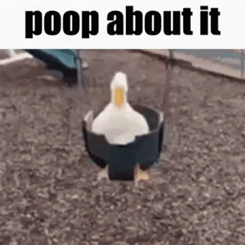 Poop Poop About It GIF - Poop Poop About It Fart About It GIFs