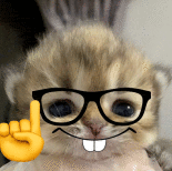 a kitten wearing glasses and a smiley face