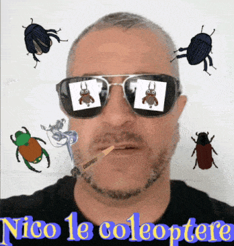 a man wearing sunglasses and a cigarette is surrounded by bugs and the words nico le coleoptera