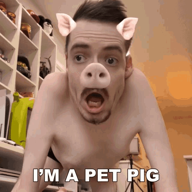 Im A Pet Pig Ricky Berwick GIF - Im A Pet Pig Ricky Berwick I Am A Pig GIFs
