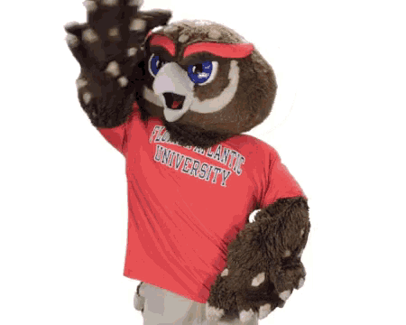an owl mascot wearing a red shirt that says florida state university