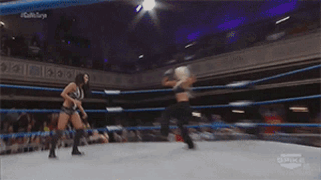 two women are fighting in a wrestling ring with a sign that says spike