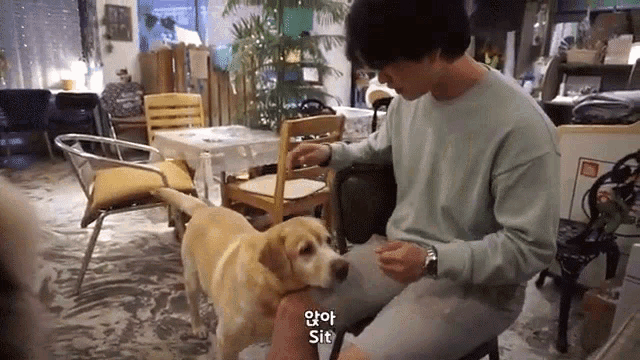 a man is sitting on a chair with a dog on his lap and says sit