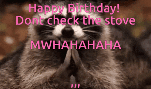 a picture of a raccoon with the words happy birthday dont check the stove mwhahahaha