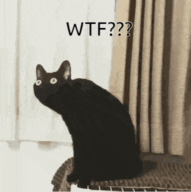 a black cat is sitting on a wicker chair and says wtf ?