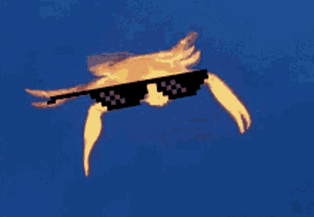 a crab wearing sunglasses is swimming in the water