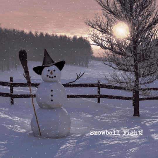 Snow Man Snow Ball Fight GIF - Snow Man Snow Ball Fight GIFs