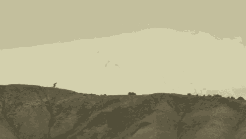 a person is riding a bike down a hill with a flock of birds flying in the background .