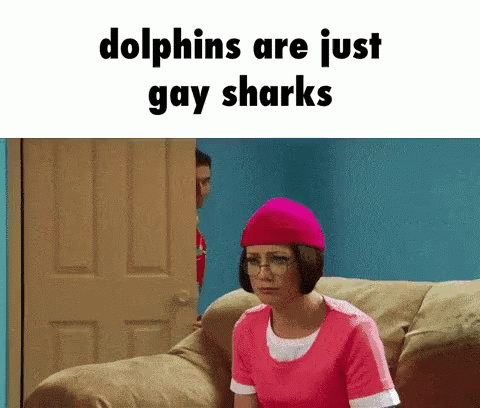 Akemii Dolphins GIF - Akemii Dolphins Gay Sharks GIFs