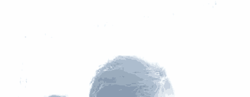 a close up of a person 's head with a white background