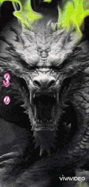 a picture of a dragon with its mouth open and the word vivavideo below it