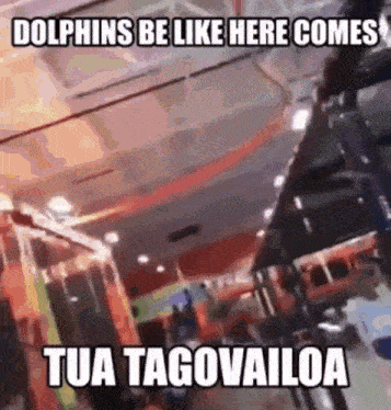 a dolphins be like here comes tua tagovailoa meme