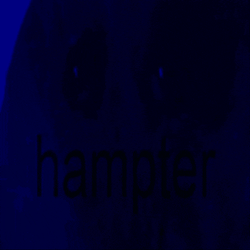 a yellow background with the word hampter written in white