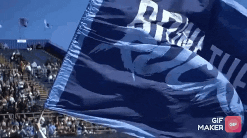 a gif of a blue flag with the word braille on it