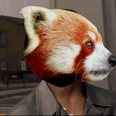 a person wearing a red panda mask on their head