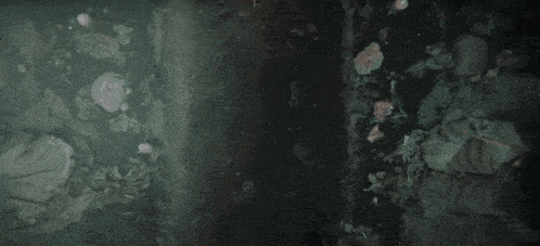 a close up of a painting on a wall with a blurred background