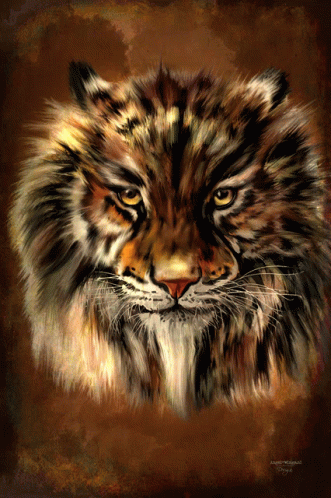 Tigre Tiger GIF - Tigre Tiger GIFs