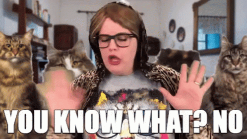 So Many Cats Lots Of Cats GIF - So Many Cats Lots Of Cats Cat Woman GIFs