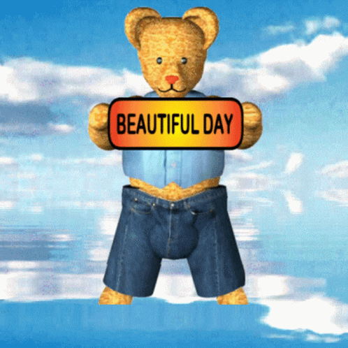 Teddy Bear Kitten GIF - Teddy Bear Kitten Beautiful Day GIFs