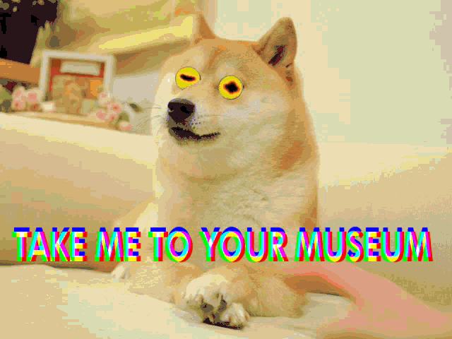 Take Me To Your Museum The Doge Nft GIF - Take Me To Your Museum The Doge Nft Bring Me To Your Museum GIFs