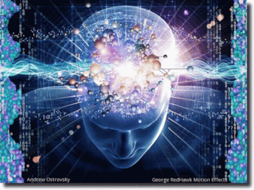 Law Of Attraction Brain GIF - Law Of Attraction Brain Power GIFs