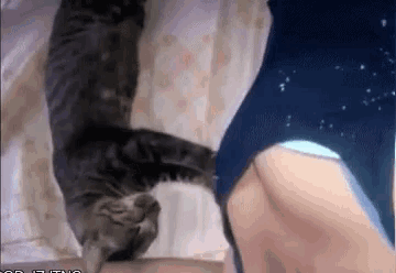 a cat laying on a bed next to a woman in a blue leotard
