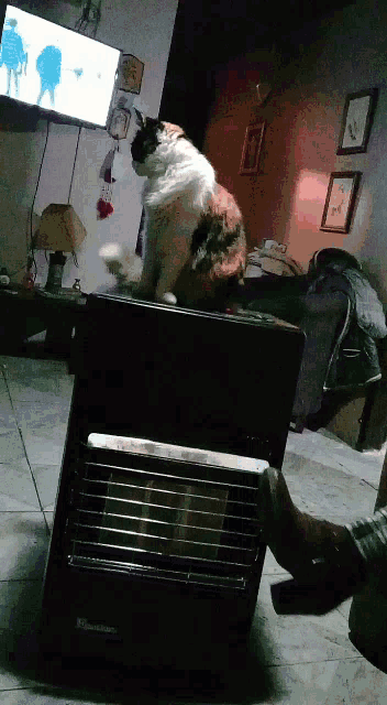 a cat sitting on top of a heater in a living room with a tv in the background