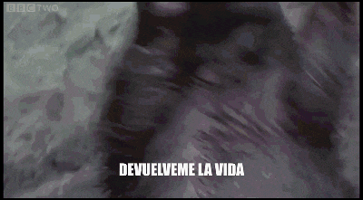 a blurred image of a person with the words devuelveme la vida in white letters